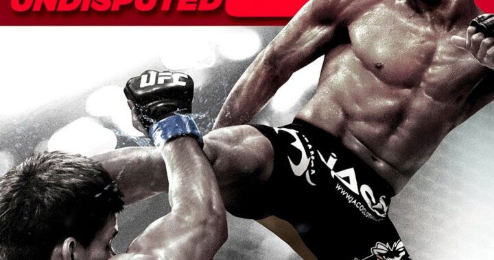 UFC Undisputed 3