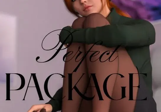 Package Perfect Free Download (v0.6)