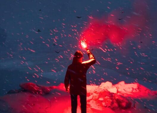 WILL Follow the Light